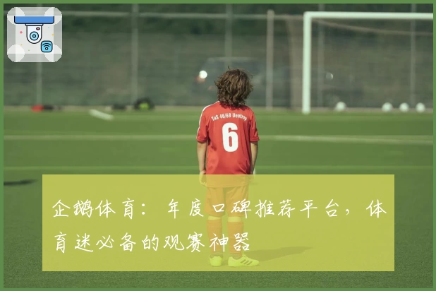 企鹅体育：年度口碑推荐平台，体育迷必备的观赛神器