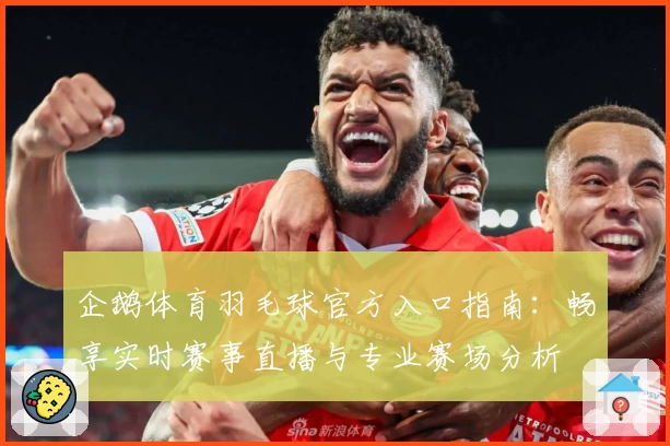 企鹅体育羽毛球官方入口指南:畅享实时赛事直播与专业赛场分析