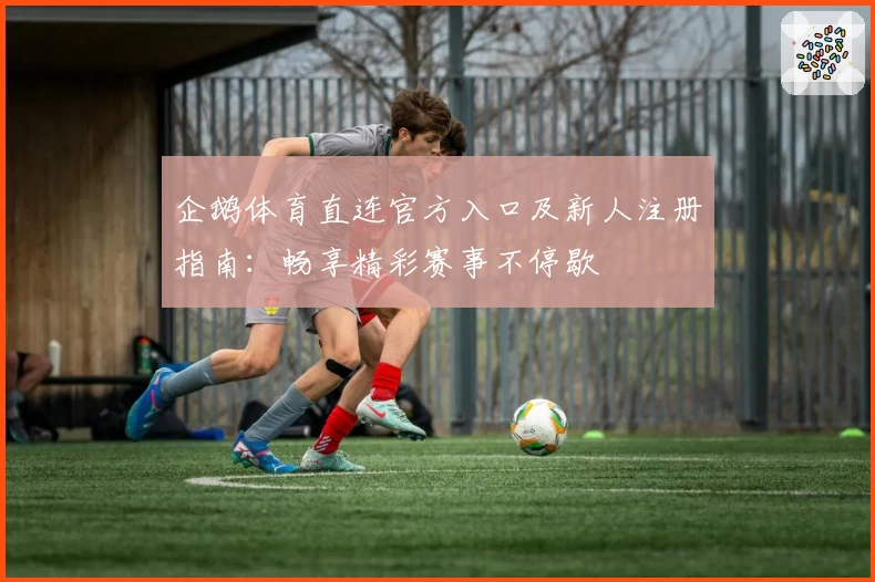 企鹅体育直连官方入口及新人注册指南：畅享精彩赛事不停歇
