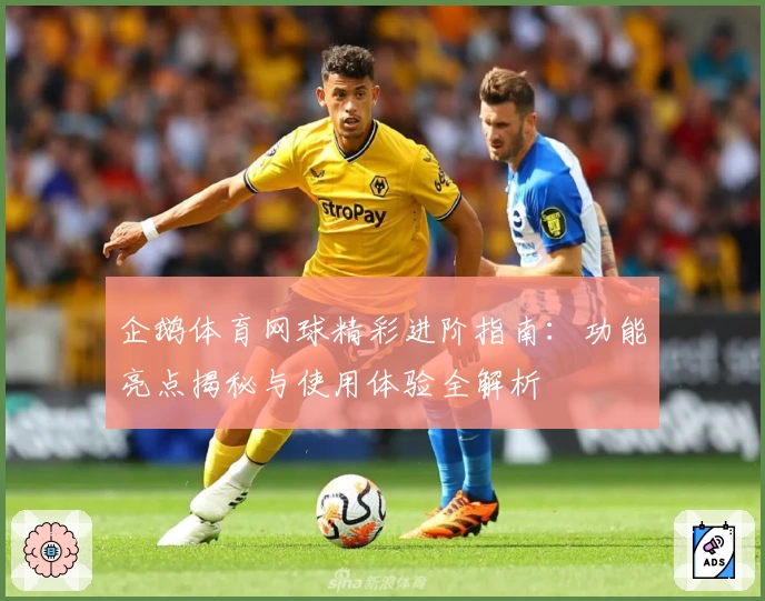 企鹅体育网球精彩进阶指南：功能亮点揭秘与使用体验全解析